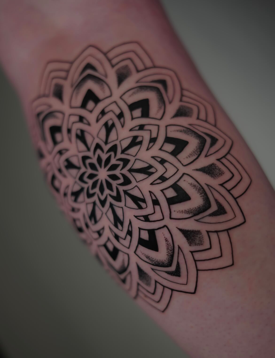 Forearm tattoo with block and grey point work of a mandala by tattoo artist Alessandra Clivio.